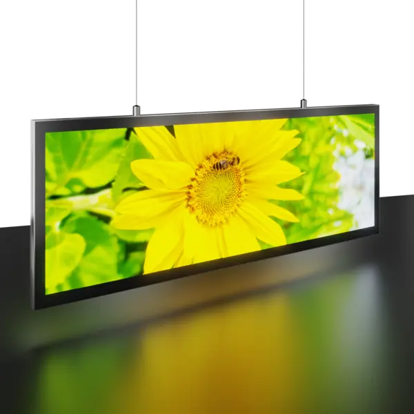 Doppelseitig beleuchteter LED-Leuchtrahmen ACE Panel 15 abgehängt an Drahtseilen für flexible Deckenmontage im Verkaufsraum
