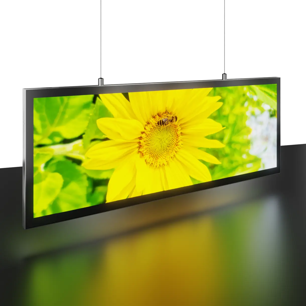 Doppelseitig beleuchteter LED-Leuchtrahmen ACE Panel 15 abgehängt an Drahtseilen für flexible Deckenmontage im Verkaufsraum